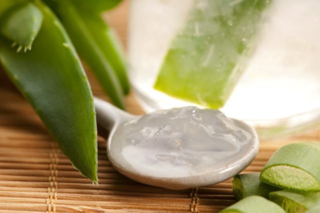 aloe-vera-gel-manufacturing-plant