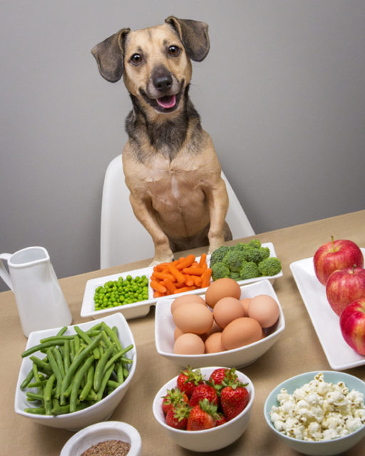 Pawsh-dog-friendly-human-food