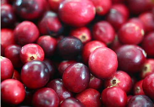 Cranberries1