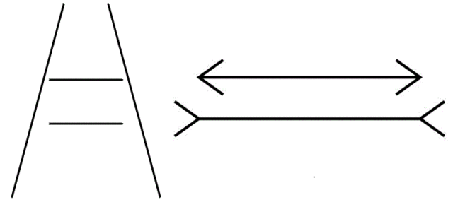 brain_model_fig6