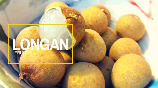 longan-fruit